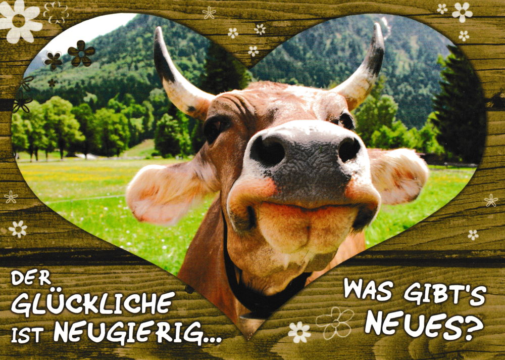 Postkarte "Wiesenglück: Der Glückliche ist neugierig ..."