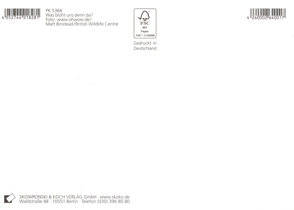 Postkarte "Was blüht uns denn da?" (Rückseite)