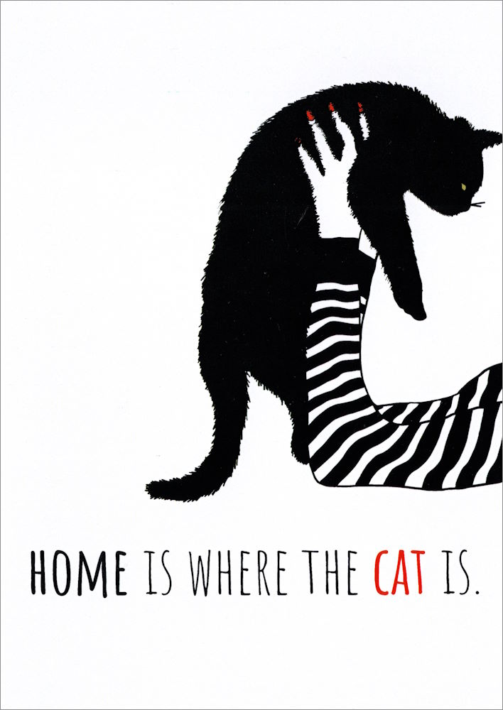 Postkarte "Home is where the cat is."