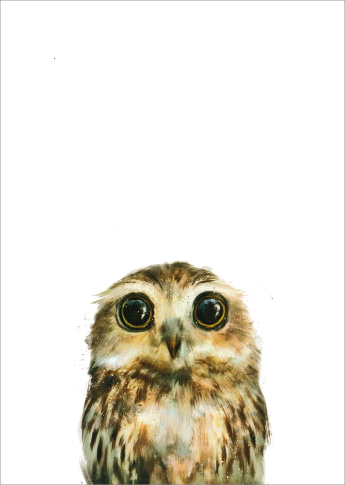 Postkarte "Little Owl - Kleine Eule"