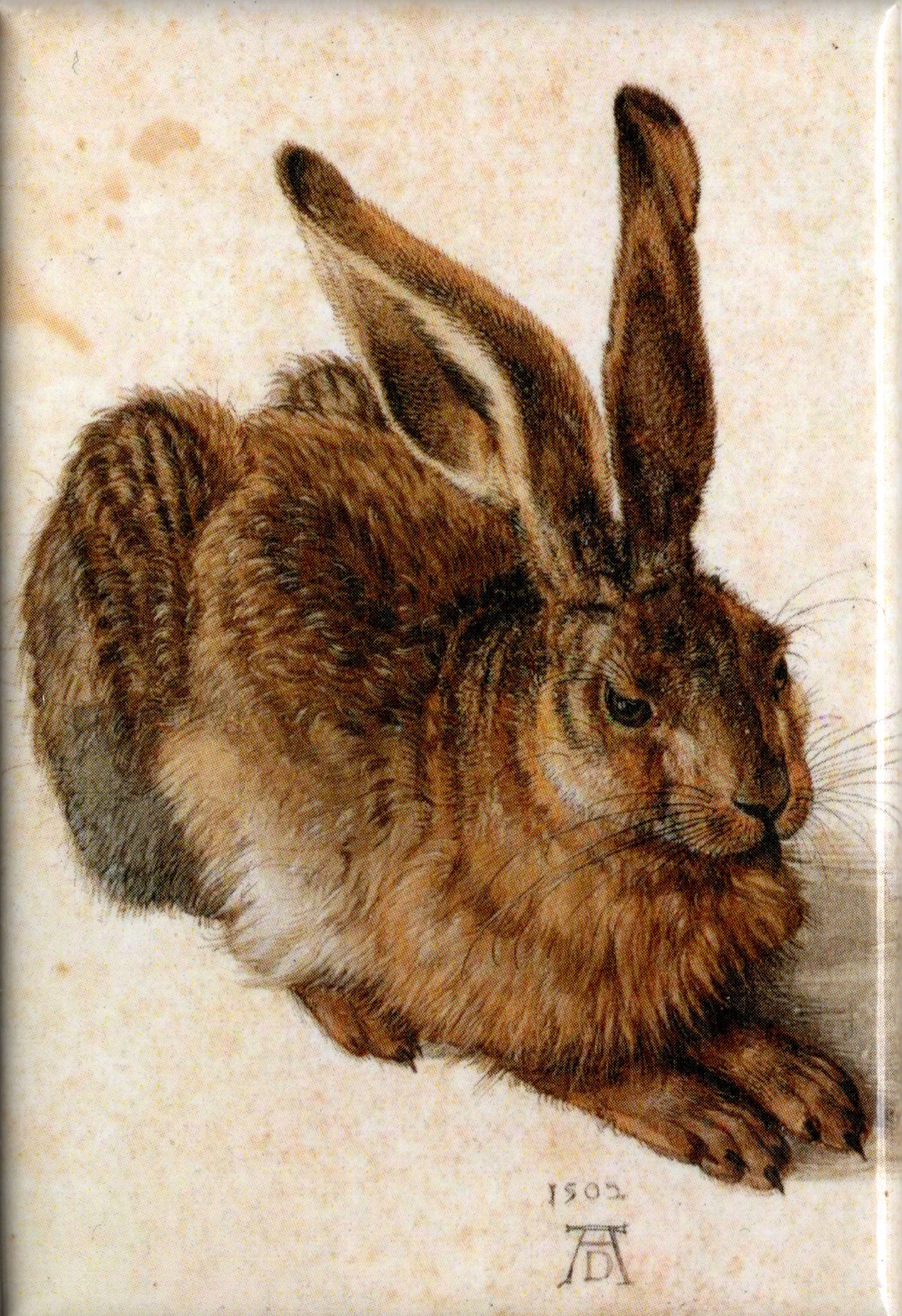 Kunstmagnet Albrecht Dürer: Der Hase