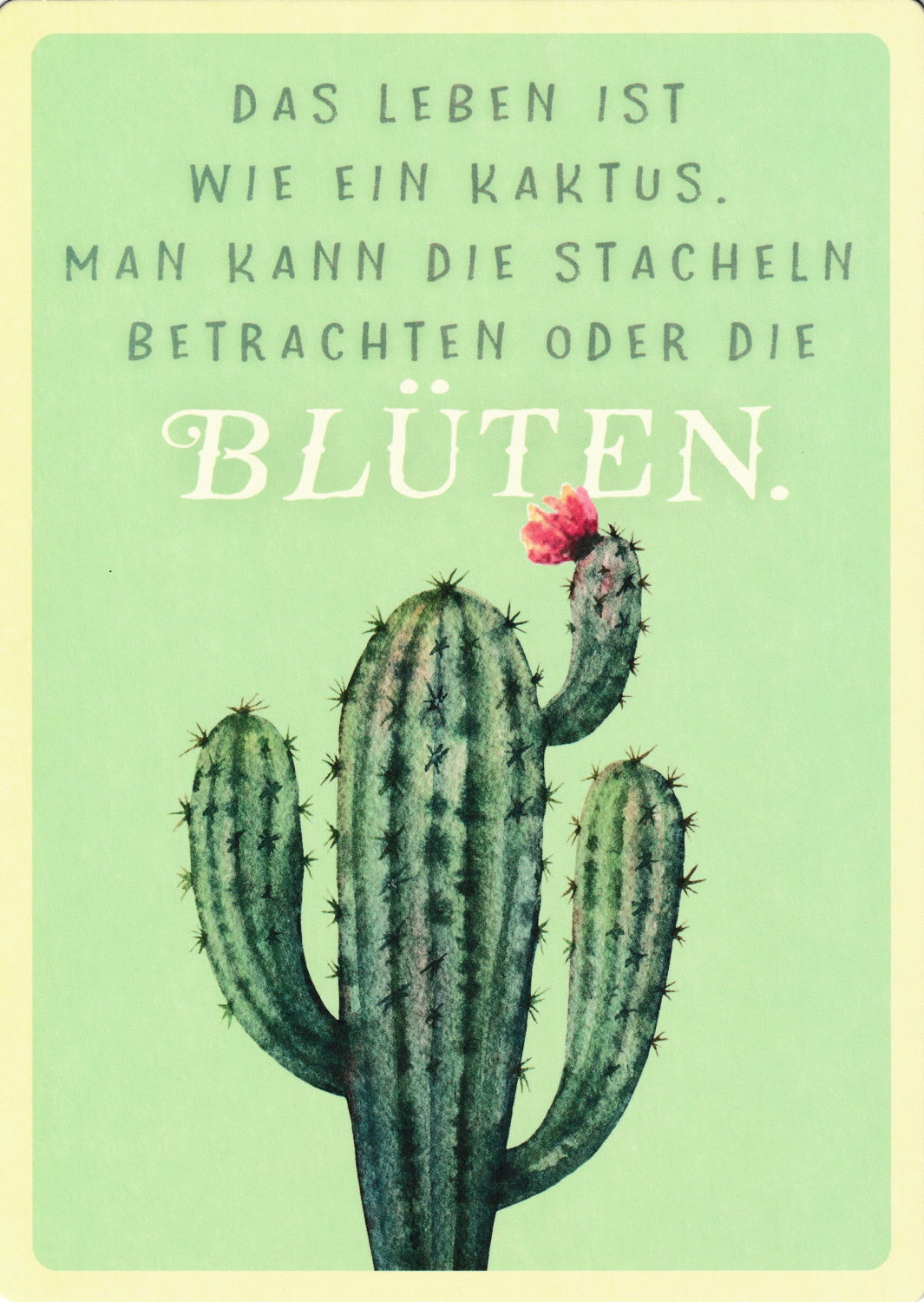 Up-Card - Die Karte zum Aufstellen "Das Leben ist wie ein Kaktus." Up-Card - Die Karte zum Aufstellen "Das Leben ist wie ein Kaktus."