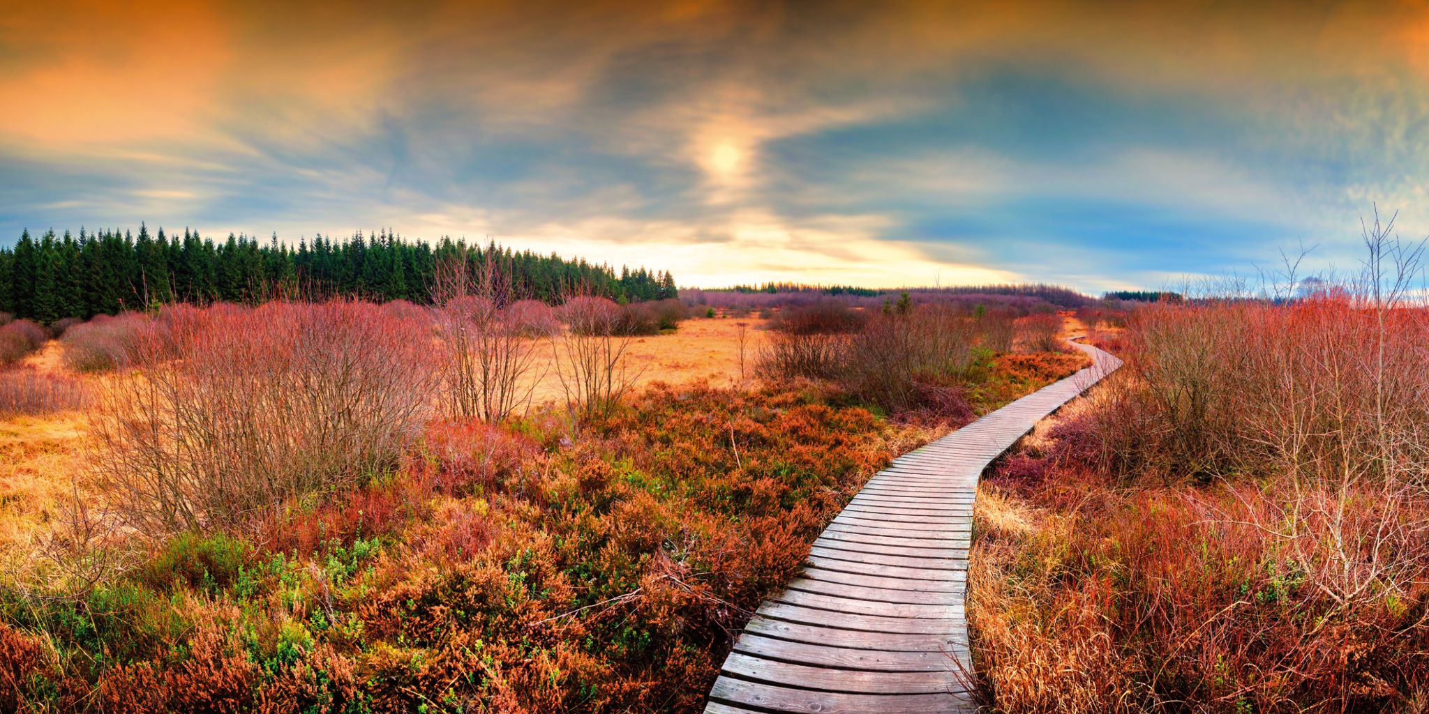 Panorama-Postkarte Faszination Erde "Moorlandschaft"