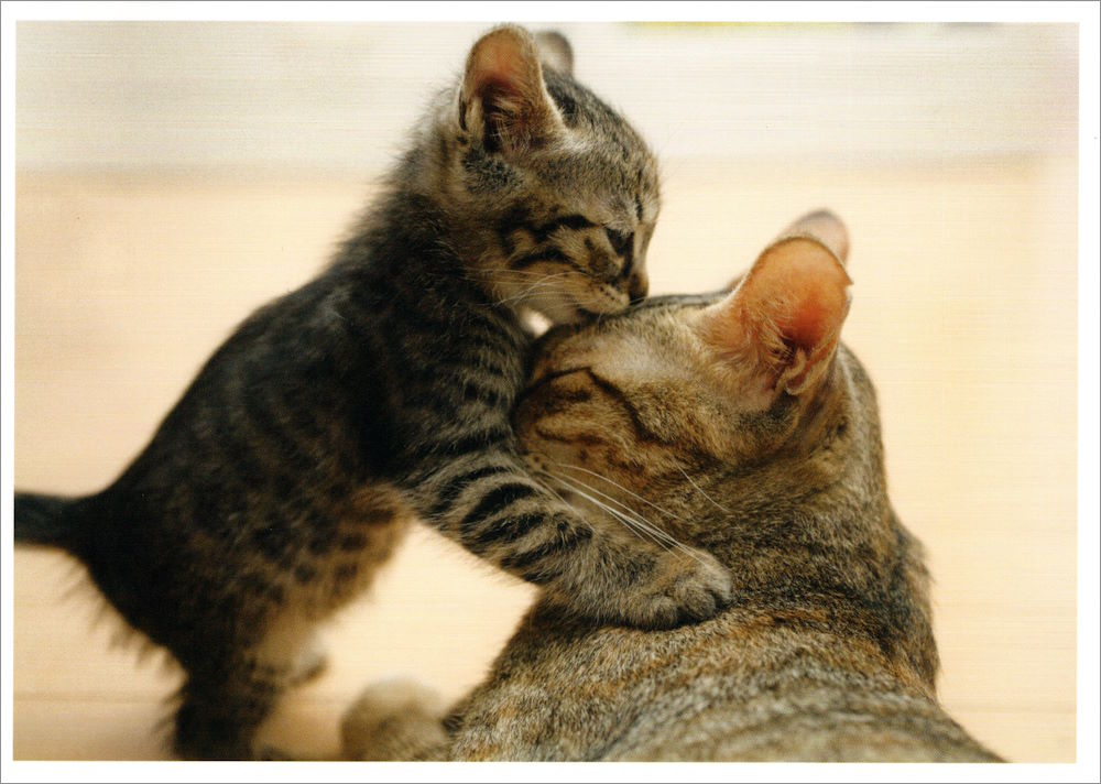 Postkarte "Küsschen" Postkarte "Küsschen"