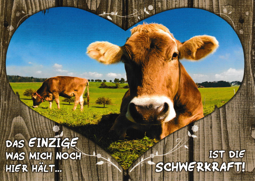 Postkarte "Wiesenglück: Das Einzige was mich noch hier hält ..."