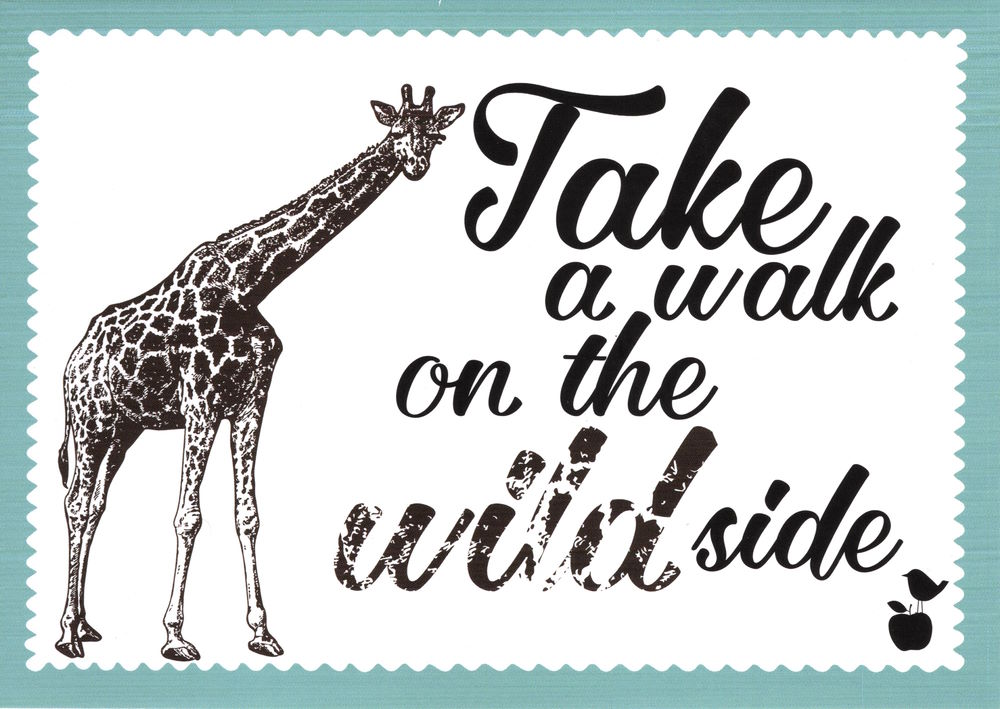 Postkarte "Take a walk on the wild side"