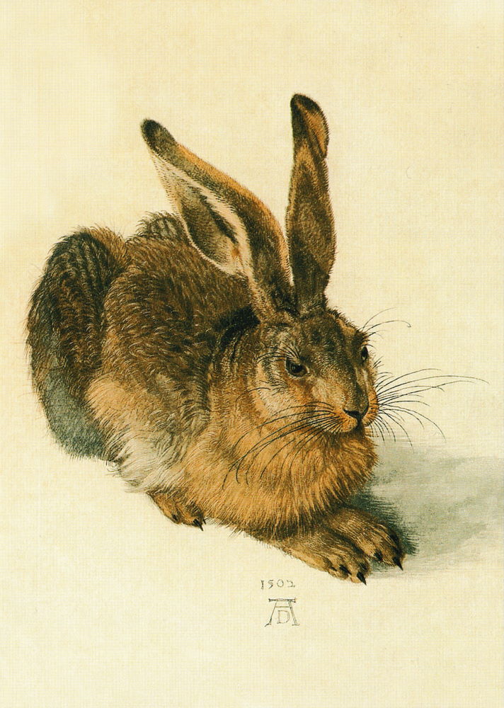 Kunstkarte Albrecht Dürer "Der Hase" Kunstkarte Albrecht Dürer "Der Hase"