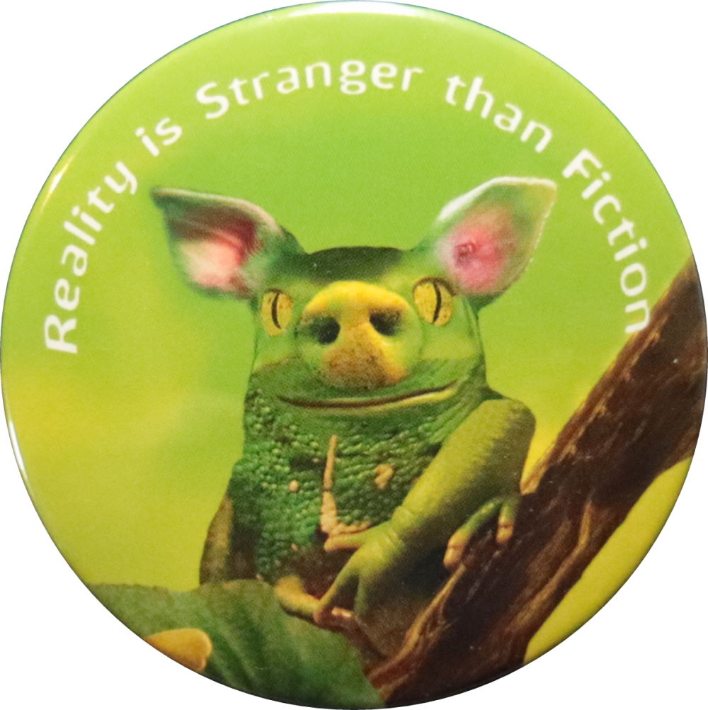 Kühlschrankmagnet "Reality is stranger than fiction" Kühlschrankmagnet "Reality is stranger than fiction"