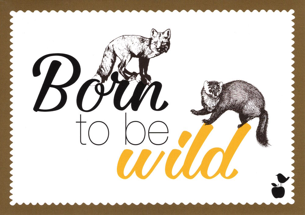 Postkarte "Born to be wild"