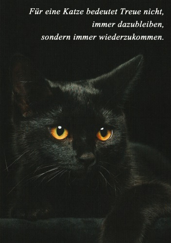 Postkarte "Für eine Katze bedeutet Treue ..."