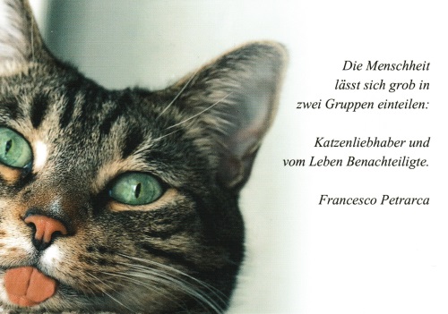 Postkarte "Die Menschheit lässt sich grob in zwei Gruppen einteilen ..." Postkarte "Die Menschheit lässt sich grob in zwei Gruppen einteilen ..."
