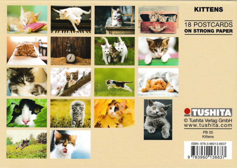Postkartenbuch "Kittens * Kätzchen * chatons" mit 18 süßen Katzen-Motiven (Rückseite) Postkartenbuch "Kittens * Kätzchen * chatons" mit 18 süßen Katzen-Motiven