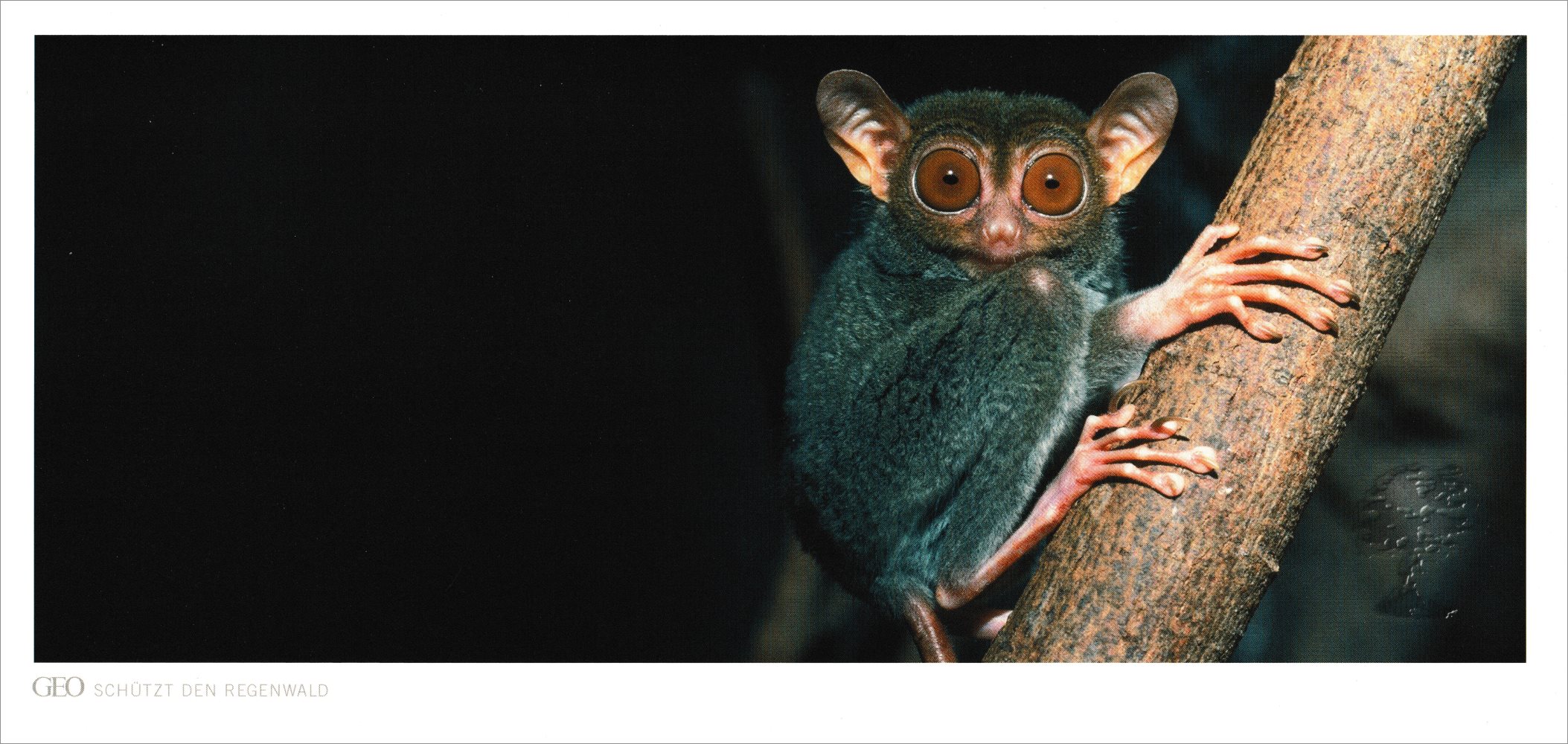 XXL-Postkarte GEO-Edition "Einzigartig" GEO-Postkarte XXL "Einzigartig"