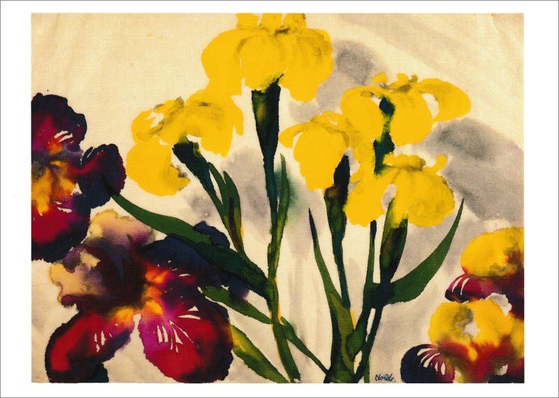 Kunstkarte Emil Nolde "Gelbe und violette Iris"