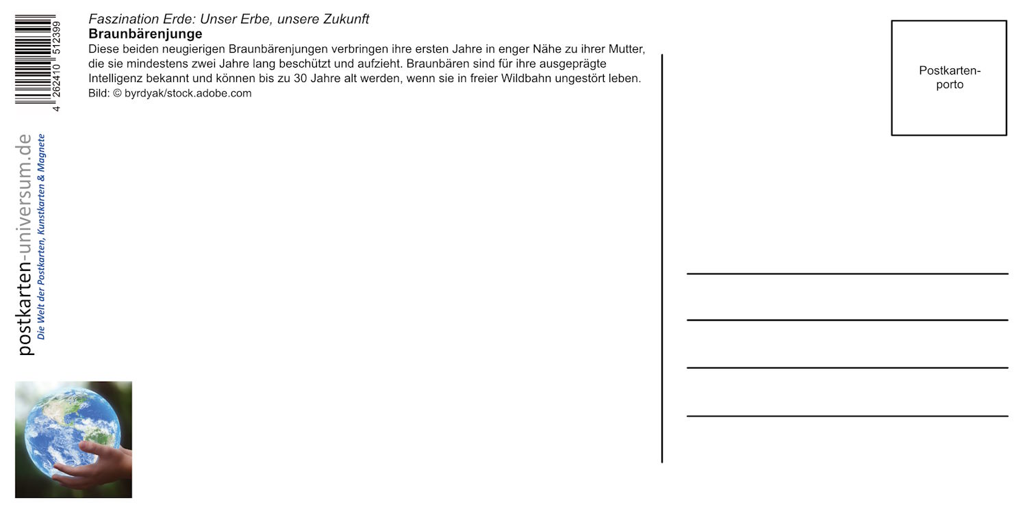 Panorama-Postkarte Faszination Erde "Braunbärenjunge" (Rückseite)