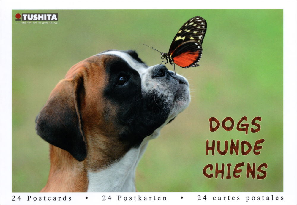 Postkartenbuch "Dogs * Hunde * Chiens" mit 24 süßen Hundemotiven
