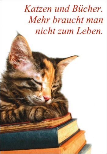 Postkarte "Katzen und Bücher. Mehr braucht man nicht zum Leben."