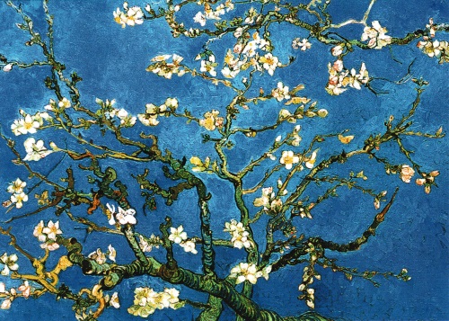 Kunstkarte Vincent van Gogh "Blühende Mandelbaumzweige"